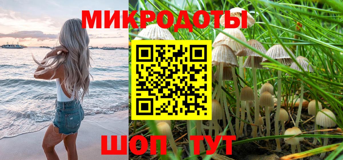 Псилоцибиновые грибы Psilocybe Нижневартовск